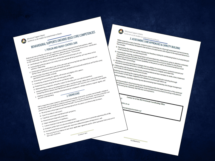 BSO Core Competencies