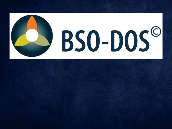 The BSO-DOS© and Permissions