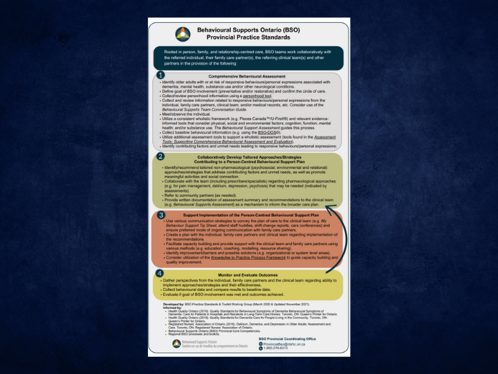 BSO Provincial Practice Standards