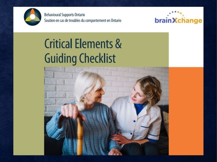 BSO Critical Elements and Guiding Checklist
