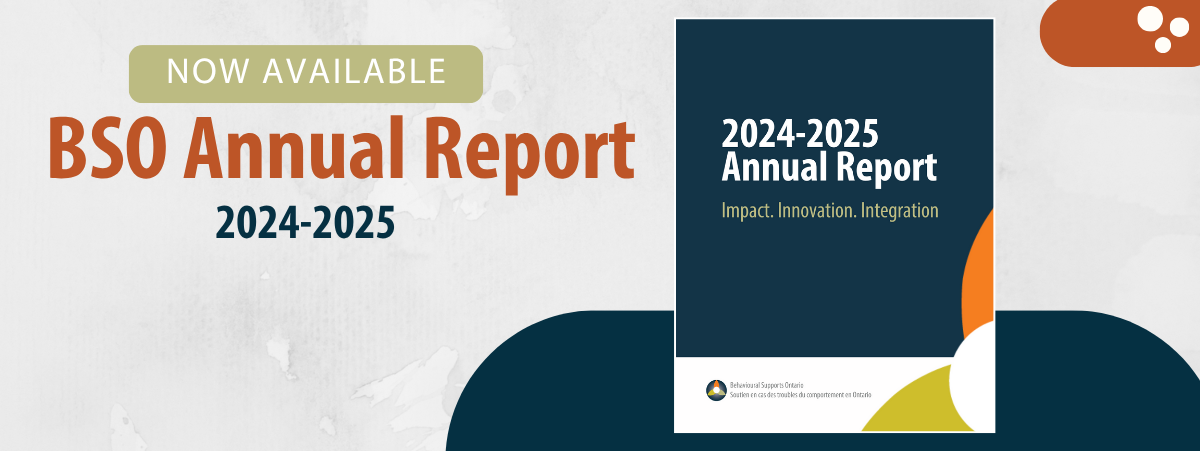 BSO Annual Report