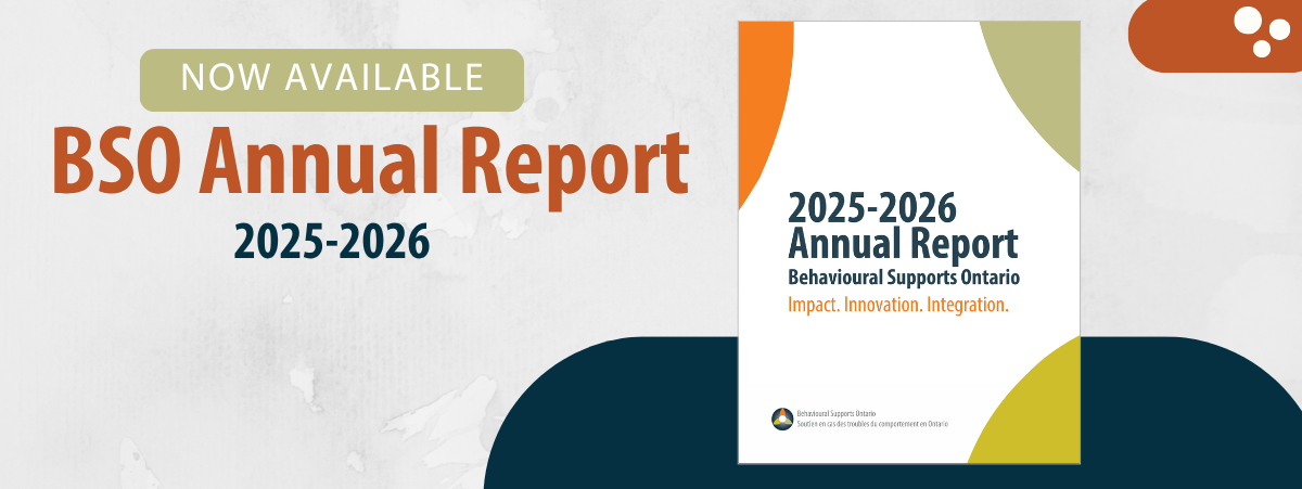 BSO Annual Report
