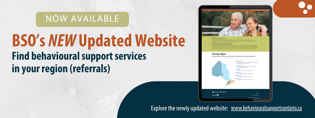 behavioural support services 