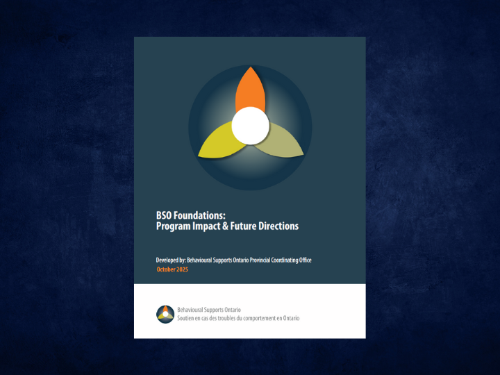 BSO Foundations: Program Impact & Future Direction